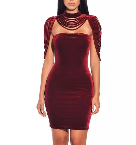 Love Life- bodycon velvet dress
